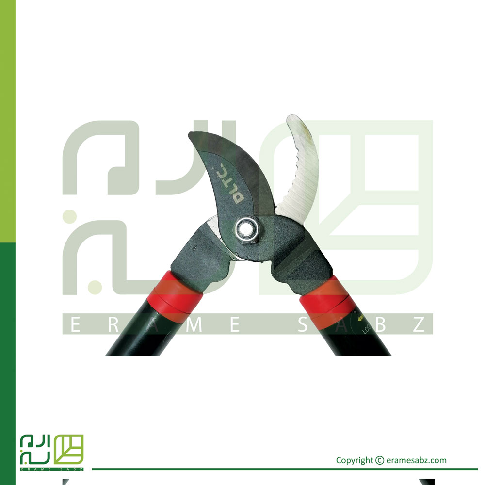 قیچی هرس شاخه زن دی ال تی سی مدل T60